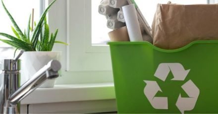 cocina-ecologica-y-sostenible